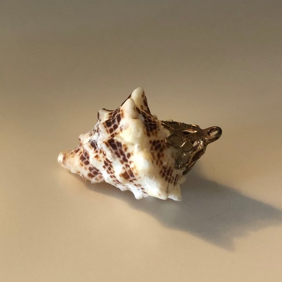 Seashell Pendant with Gold Fascinator for Necklace - Picture 3 of 6